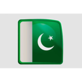 Pakistan Flag Style 21 Sticker - DecalsHouse