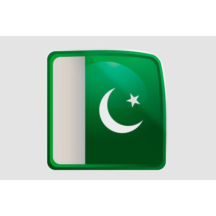 Pakistan Flag Style 21 Sticker - DecalsHouse