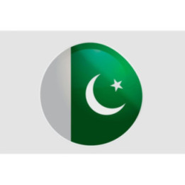 Pakistan Flag Style 22 Sticker - DecalsHouse