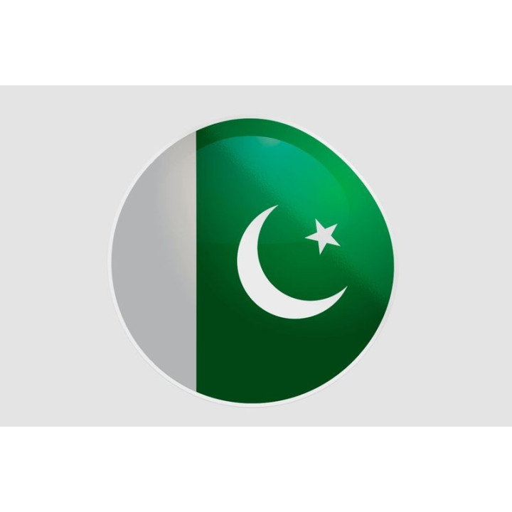 Pakistan Flag Style 22 Sticker - DecalsHouse