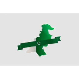 Pakistan Flag Style 23 Sticker - DecalsHouse