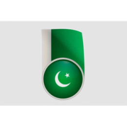 Pakistan Flag Style 24 Sticker - DecalsHouse