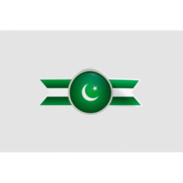 Pakistan Flag Style 26 Sticker - DecalsHouse