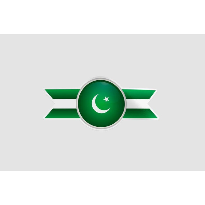 Pakistan Flag Style 26 Sticker - DecalsHouse
