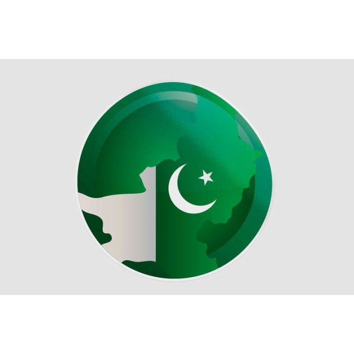 Pakistan Flag Style 28 Sticker - DecalsHouse