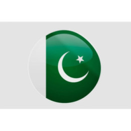 Pakistan Flag Style 30 Sticker - DecalsHouse