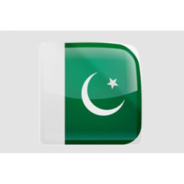 Pakistan Flag Style 31 Sticker - DecalsHouse