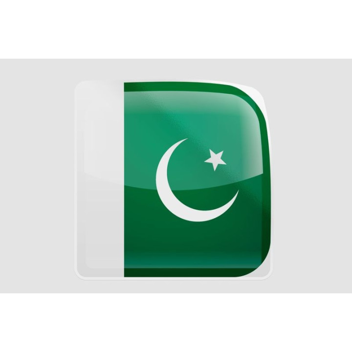 Pakistan Flag Style 31 Sticker - DecalsHouse