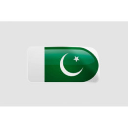 Pakistan Flag Style 33 Sticker - DecalsHouse