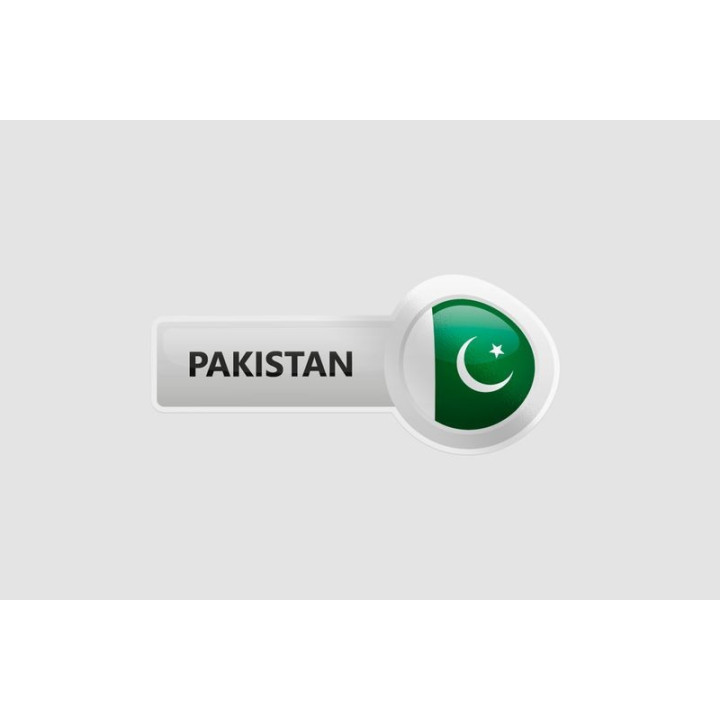 Pakistan Flag Style 35 Sticker - DecalsHouse