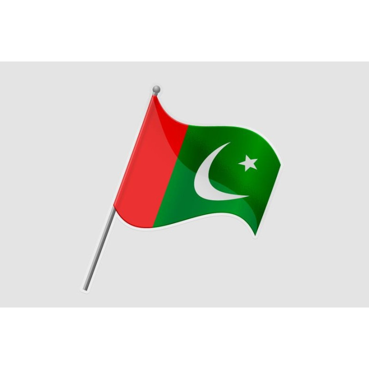 Pakistan Flag Style 37 Sticker - DecalsHouse