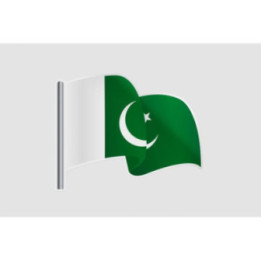 Pakistan Flag Style 39 Sticker - DecalsHouse