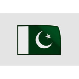 Pakistan Flag Style 4 Sticker - DecalsHouse