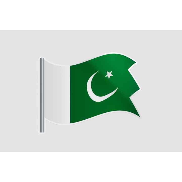 Pakistan Flag Style 41 Sticker - DecalsHouse