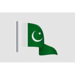 Pakistan Flag Style 46 Sticker - DecalsHouse