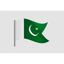 Pakistan Flag Style 47 Sticker - DecalsHouse