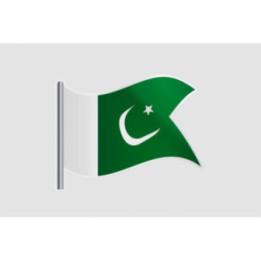Pakistan Flag Style 48 Sticker - DecalsHouse