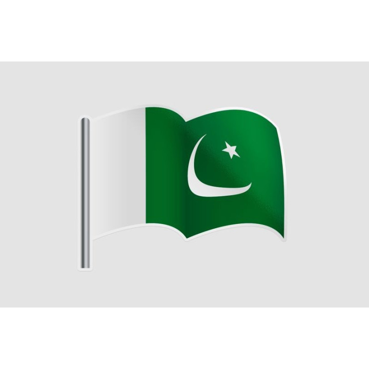 Pakistan Flag Style 49 Sticker - DecalsHouse