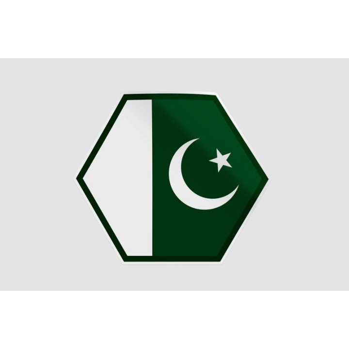 Pakistan Flag Style 5 Sticker - DecalsHouse