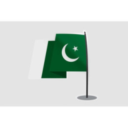 Pakistan Flag Style 54 Sticker - DecalsHouse