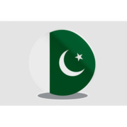 Pakistan Flag Style 58 Sticker - DecalsHouse