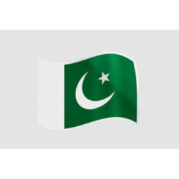 Pakistan Flag Style 60 Sticker - DecalsHouse