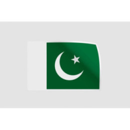Pakistan Flag Style 61 Sticker - DecalsHouse