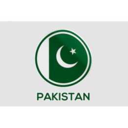 Pakistan Flag Style 64 Sticker - DecalsHouse