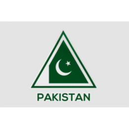 Pakistan Flag Style 66 Sticker - DecalsHouse