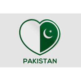 Pakistan Flag Style 68 Sticker - DecalsHouse