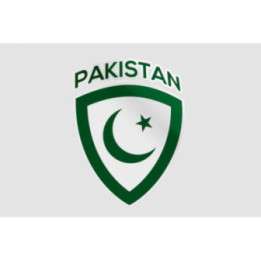 Pakistan Flag Style 70 Sticker - DecalsHouse