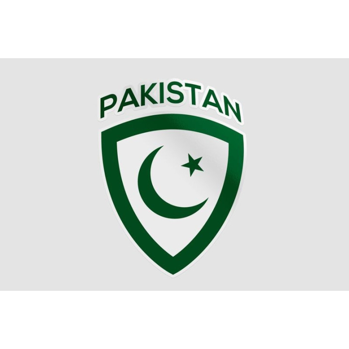 Pakistan Flag Style 70 Sticker - DecalsHouse