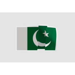 Pakistan Flag Style 75 Sticker - DecalsHouse