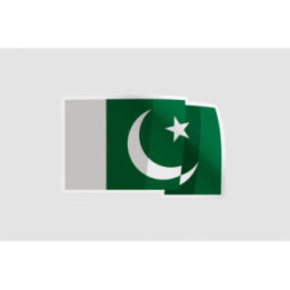 Pakistan Flag Style 77 Sticker - DecalsHouse