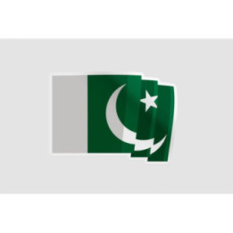 Pakistan Flag Style 78 Sticker - DecalsHouse