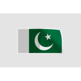 Pakistan Flag Style 80 Sticker - DecalsHouse