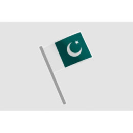 Pakistan Flag Style 81 Sticker - DecalsHouse