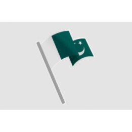 Pakistan Flag Style 86 Sticker - DecalsHouse