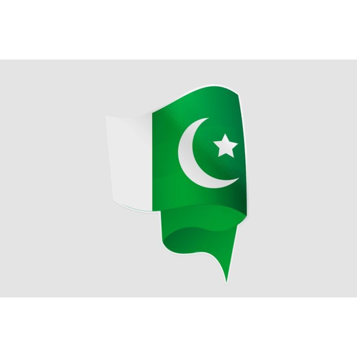 Pakistan Flag Style 9 Sticker - DecalsHouse