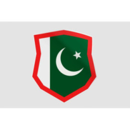 Pakistan Flag Style 91 Sticker - DecalsHouse