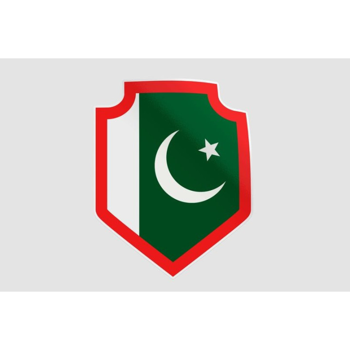 Pakistan Flag Style 92 Sticker - DecalsHouse