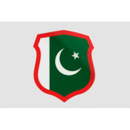 Pakistan Flag Style 93 Sticker - DecalsHouse
