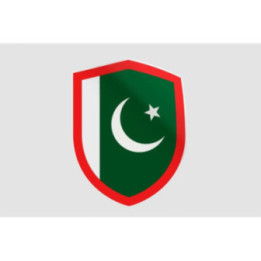 Pakistan Flag Style 94 Sticker - DecalsHouse