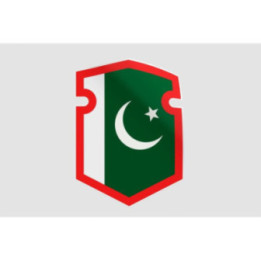 Pakistan Flag Style 95 Sticker - DecalsHouse