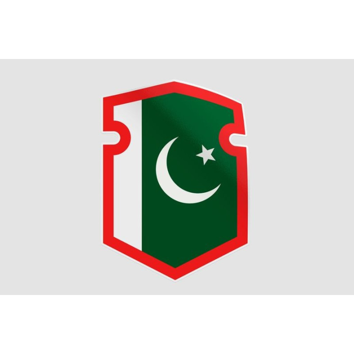 Pakistan Flag Style 95 Sticker - DecalsHouse