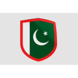 Pakistan Flag Style 97 Sticker - DecalsHouse