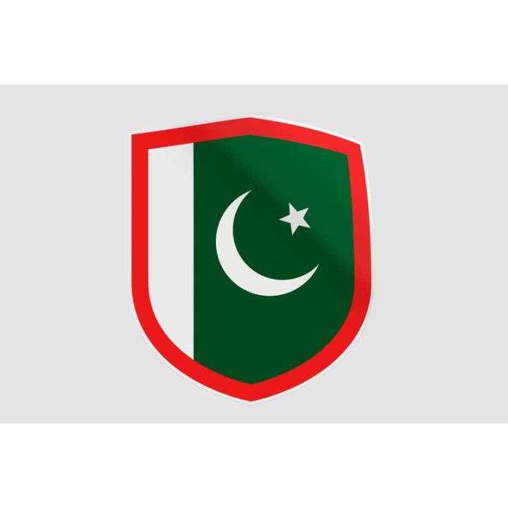 Pakistan Flag Style 97 Sticker - DecalsHouse