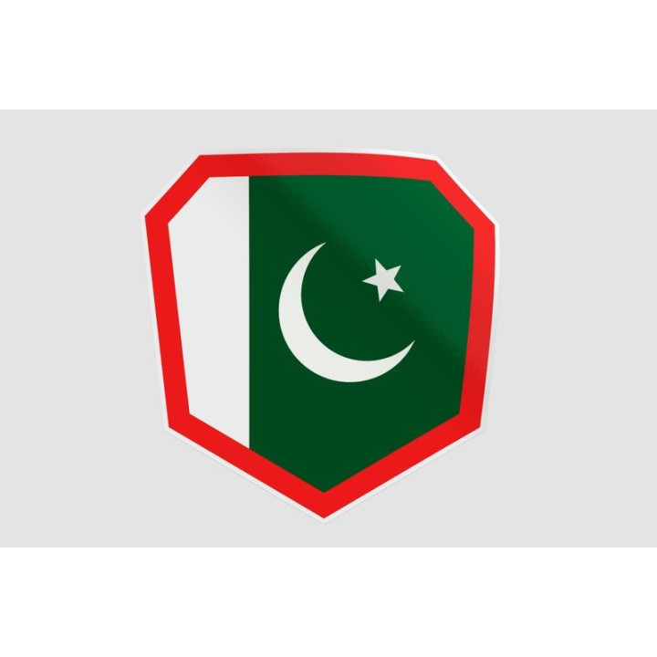 Pakistan Flag Style 98 Sticker - DecalsHouse