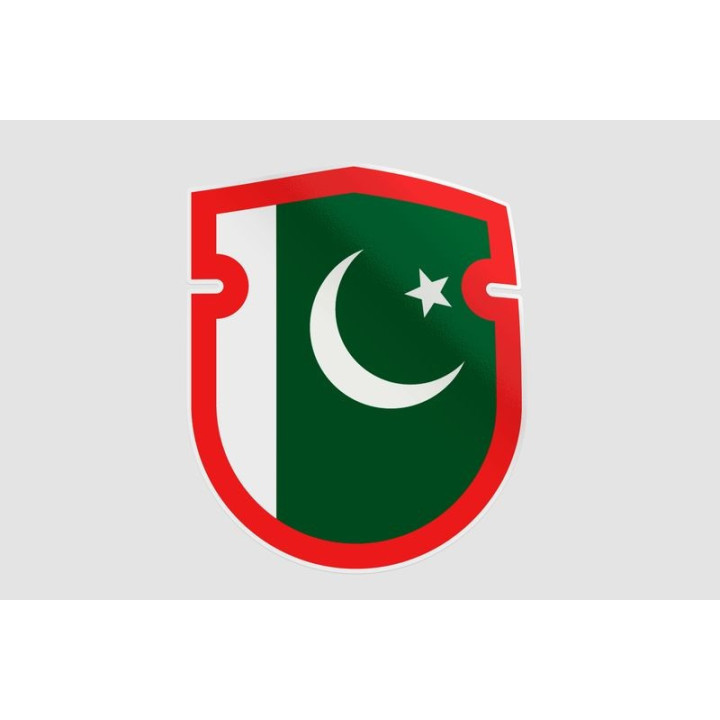 Pakistan Flag Style 99 Sticker - DecalsHouse