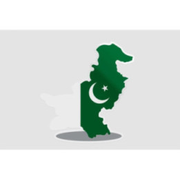 Pakistan Map Style 2 Sticker - DecalsHouse